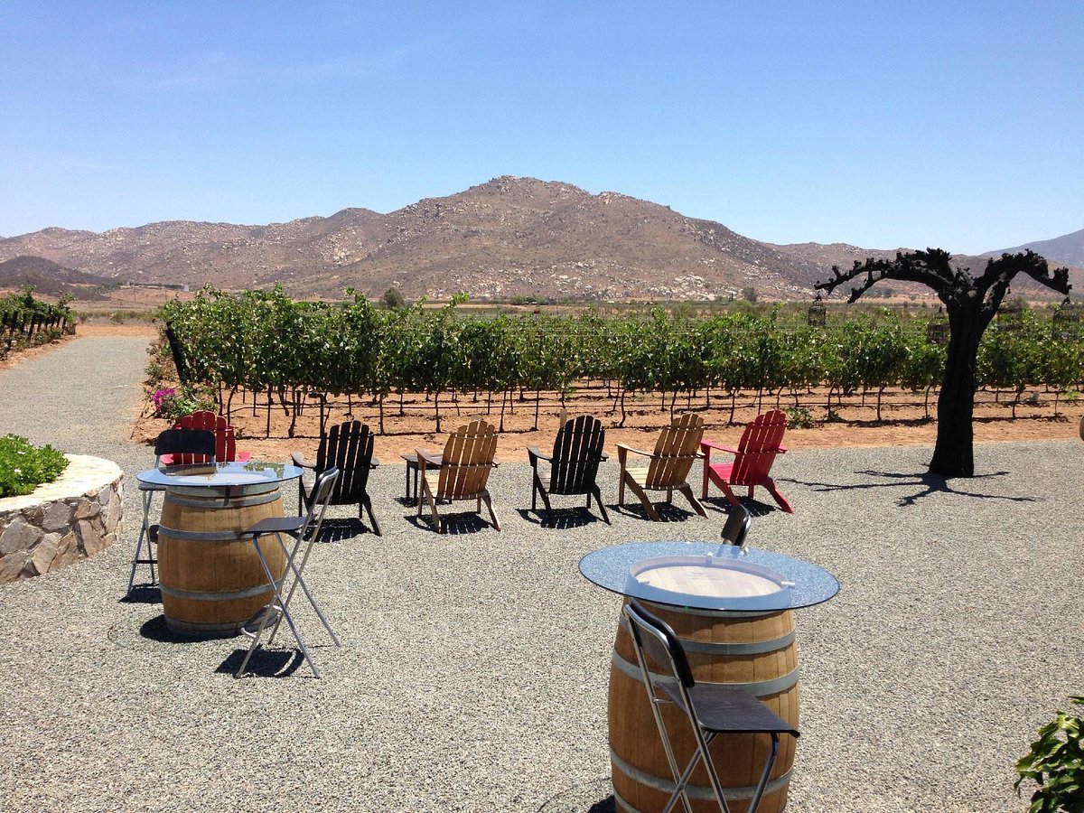 Trevista Vineyards