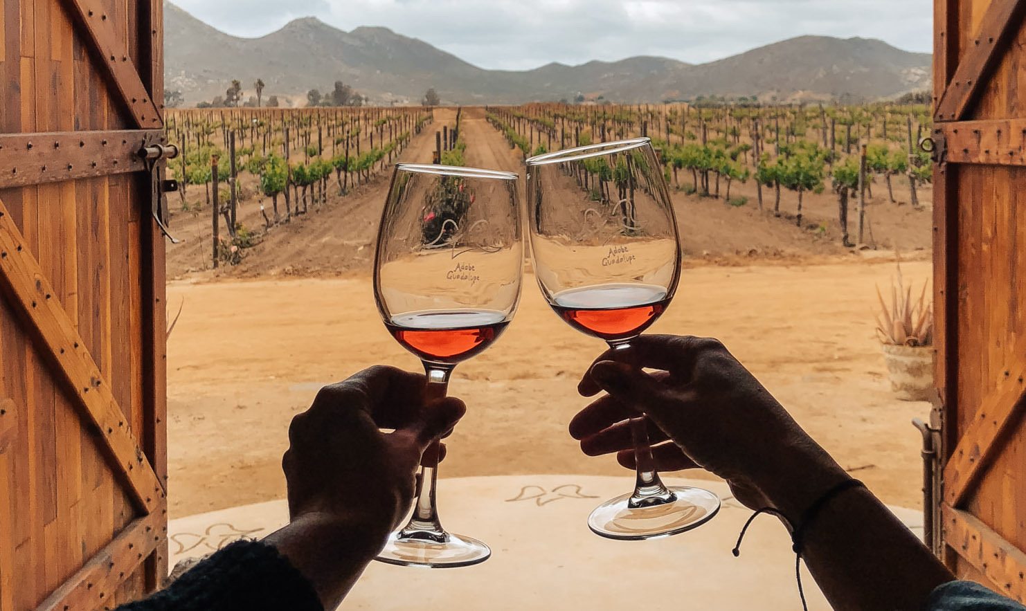 Wine Tasting Tours