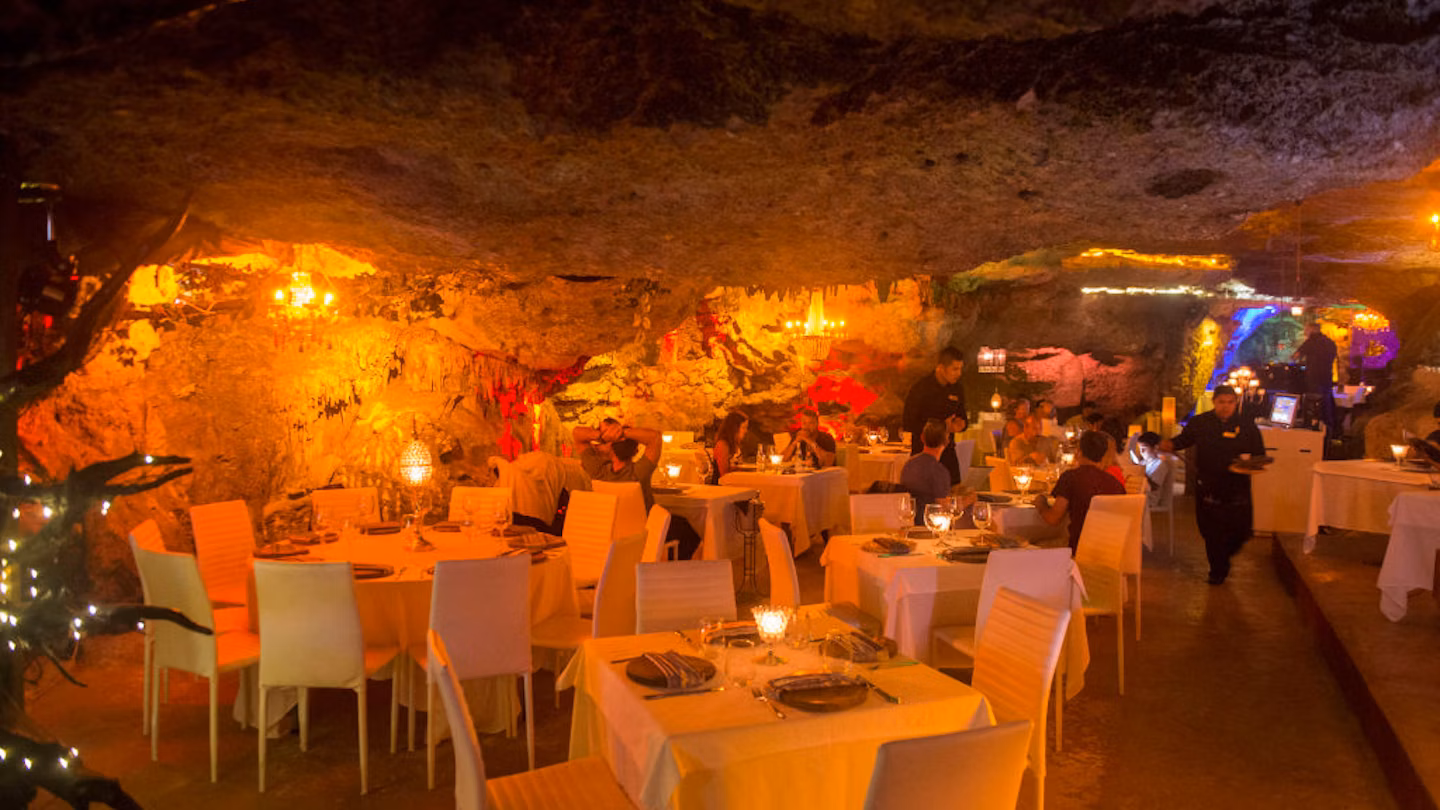 Savor Dining Experiences