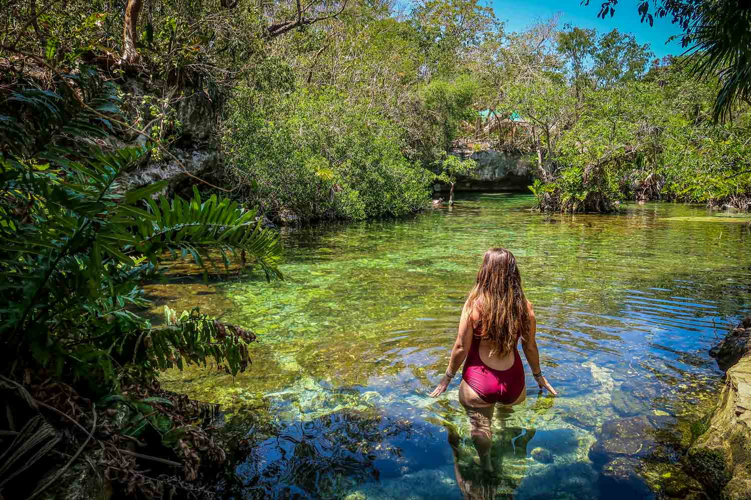 Discover Cenotes, Jungle Trails & Sian Ka’an