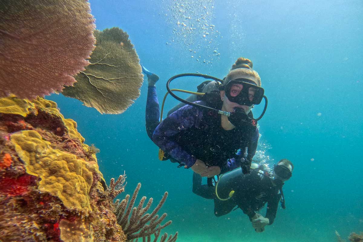 Snorkeling or Scuba Diving